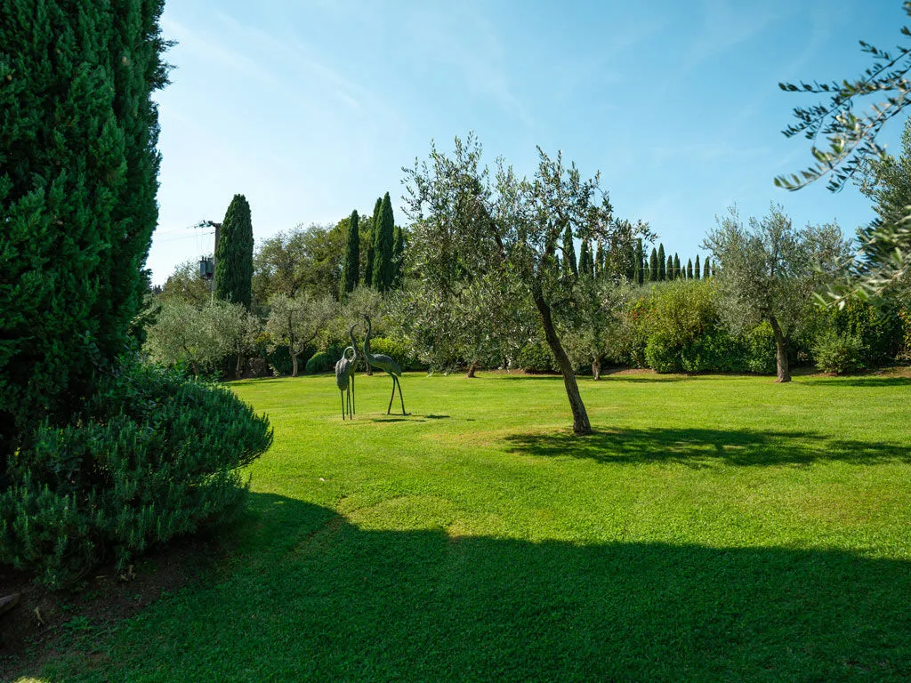 Il prato e gli ulivi del parco, con la scultura di aironi