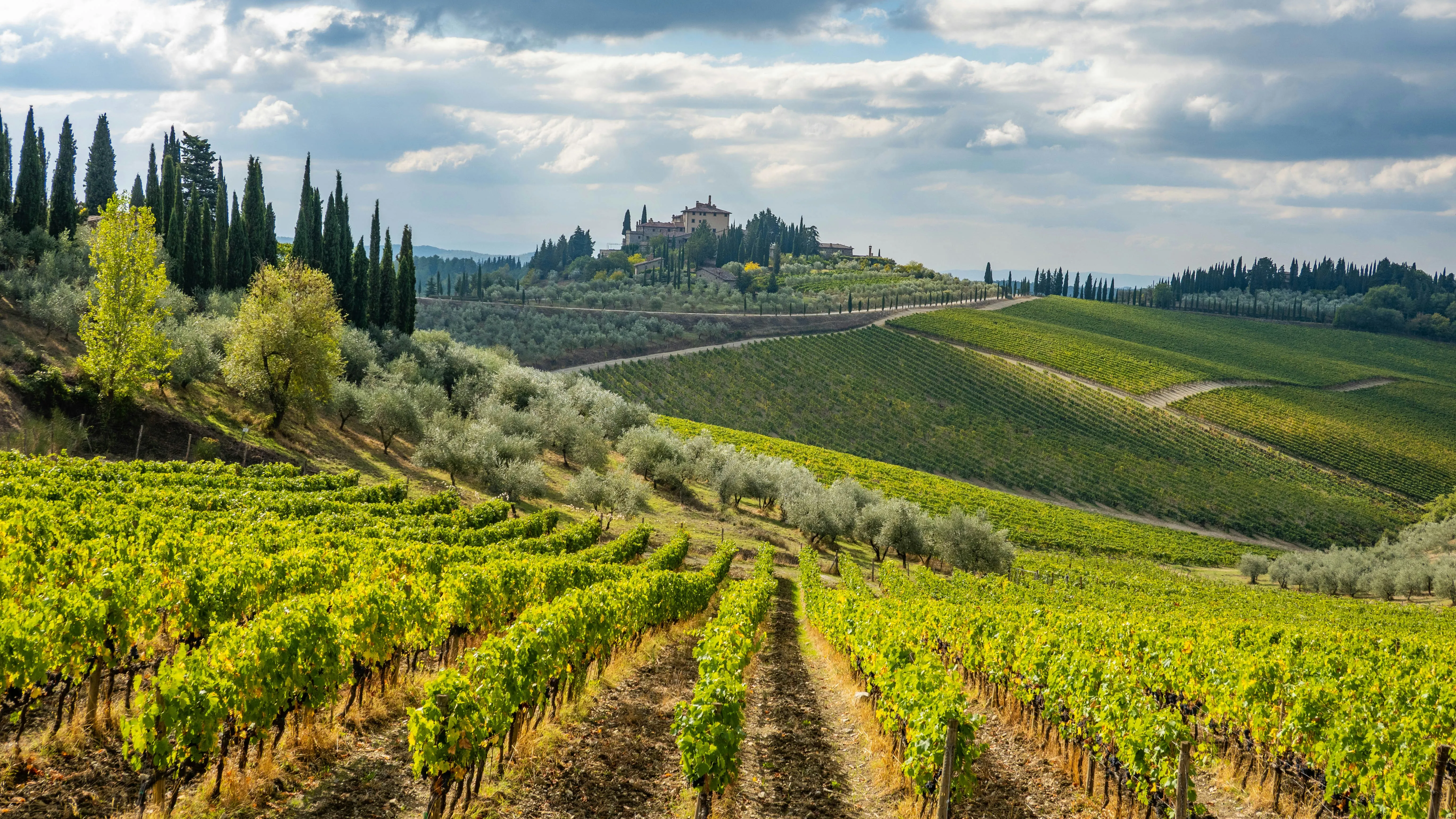 Vigneti nel Chianti